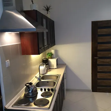 Central King Apartment