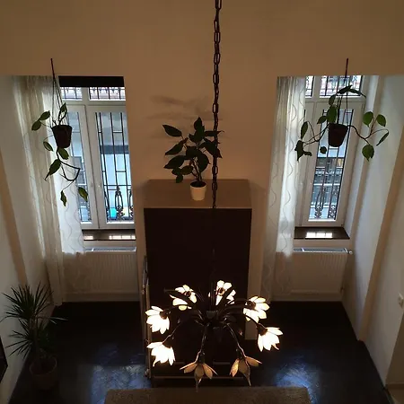 Apartment Central King *