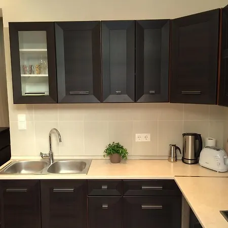 Central King Apartment